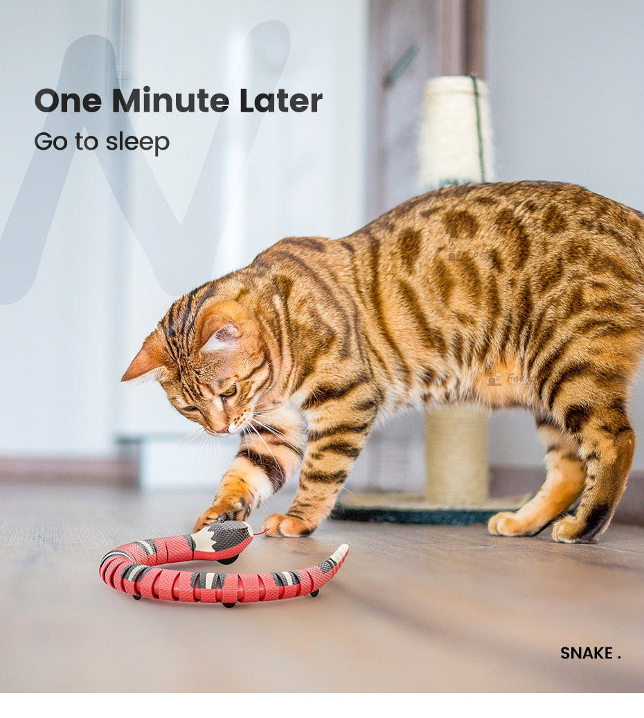 Smart Sensing Snake Cat Toy